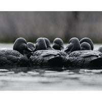 RigEm Right Mainline Blackout Duck Decoys
